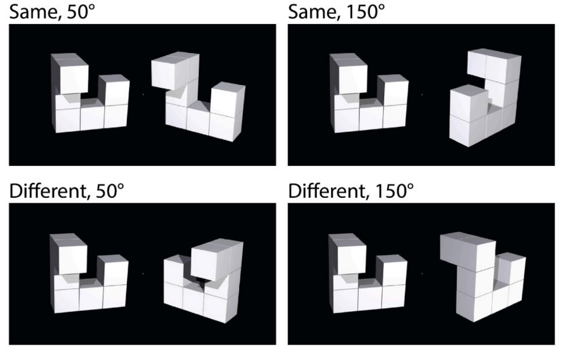 Four pairs of 3D block figures labelled Same 50°, Same 150°, Different 50°, Different 150°.