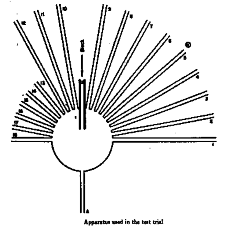 Sunburst maze: a circular table with eighteen radiating paths, the original alley blocked.